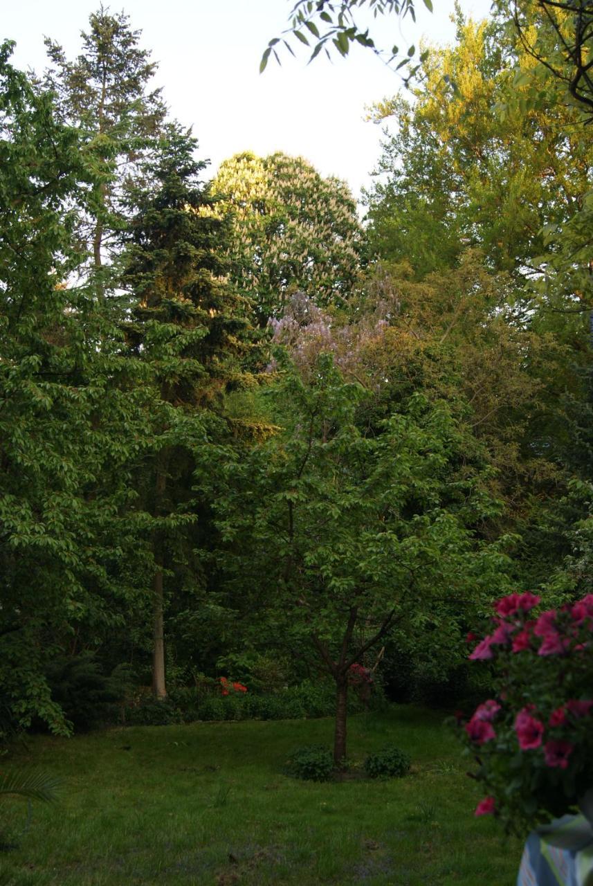 "Am Griebnitzsee" 14482 Potsdam-Babelsberg ภายนอก รูปภาพ